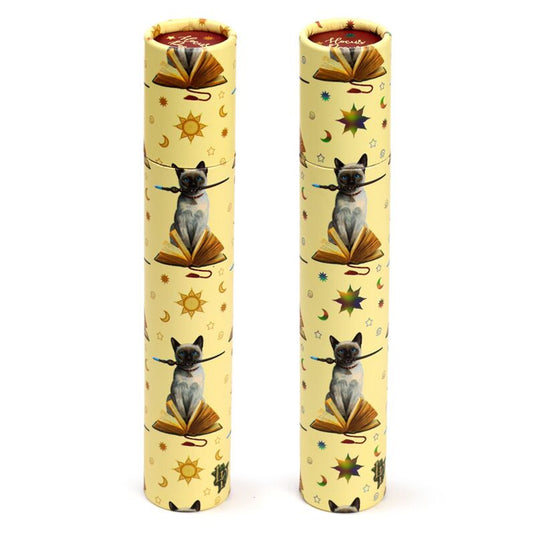 Lisa parker hocus pocus kat large tekenkoker 12 kleurpotloden