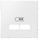 Merten centraalplaat usb 2-v polar wit