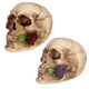 Schedel met roos tussen tanden woonaccessoire
