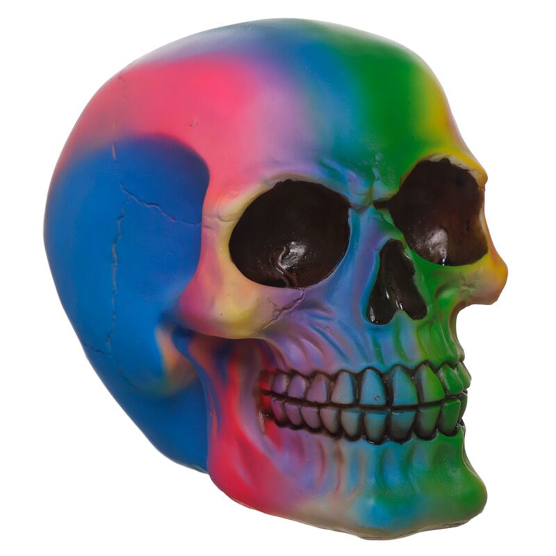 Afbeelding laden in galerijviewer, Regenboog schedel woonaccessoire
