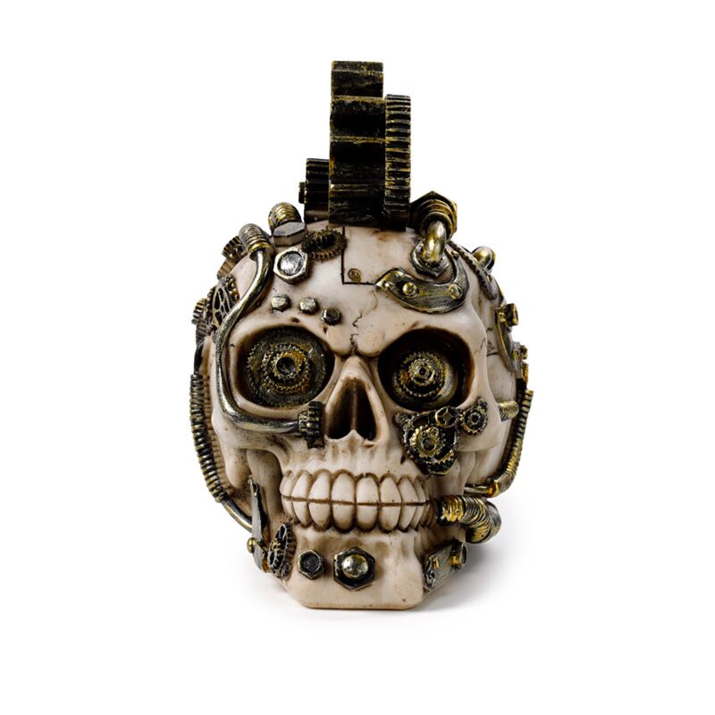 Afbeelding laden in galerijviewer, Steampunk stijl schedel met tandwielen en veren woonaccessoire
