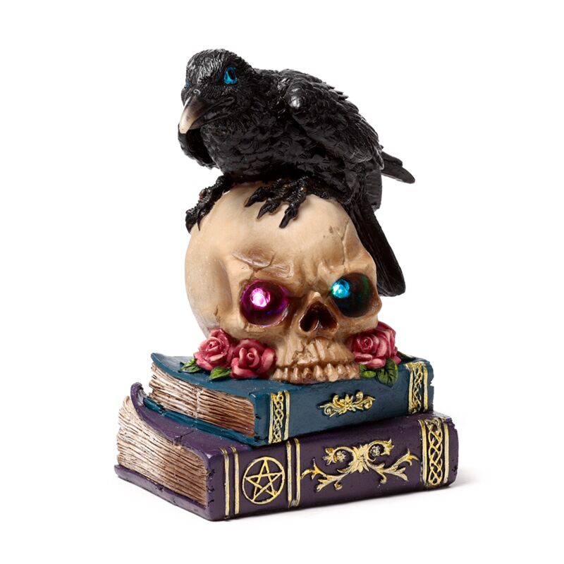 Afbeelding laden in galerijviewer, Crow perched on led skull books
