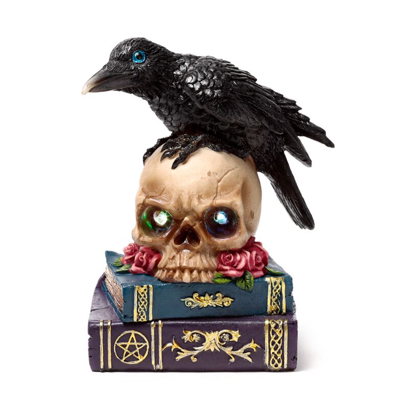 Afbeelding laden in galerijviewer, Crow perched on led skull books
