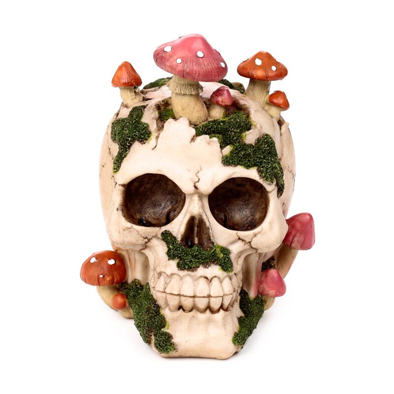 Afbeelding laden in galerijviewer, Schedel met paddestoel mos
