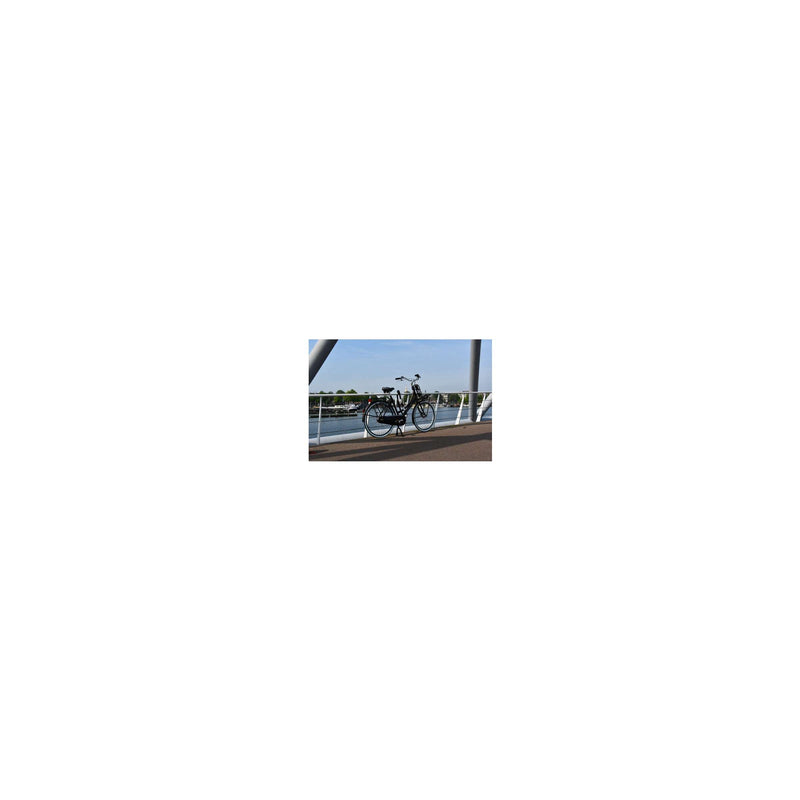Afbeelding laden in galerijviewer, Abus kettingslot CityChain 8800 120 2.0 zwart
