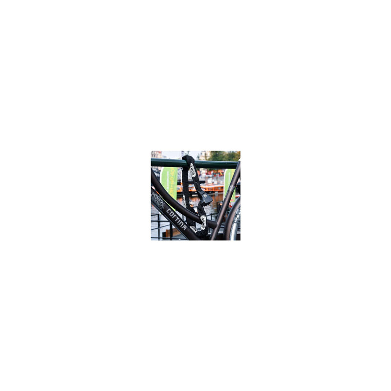 Afbeelding laden in galerijviewer, Abus Ionus 8900 110 Zwart - ART2 Kettingslot (110cm)
