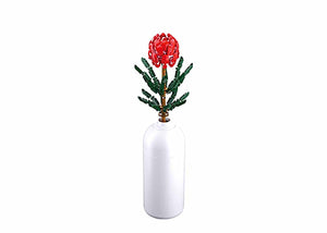 Sluban spinnenbloem (m38-b1101-08)
