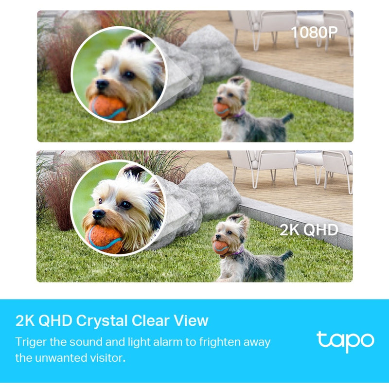 Afbeelding laden in galerijviewer, TP-Link TP-Link Tapo C420S2
