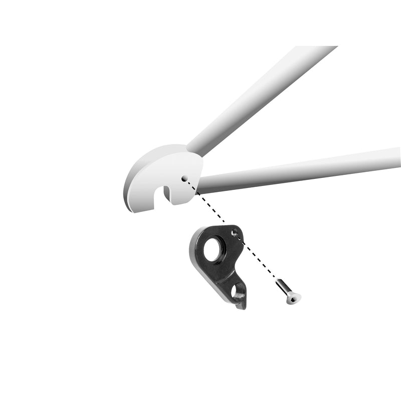 Afbeelding laden in galerijviewer, Union schaltauge derailleur hangers gh-313 screws included

