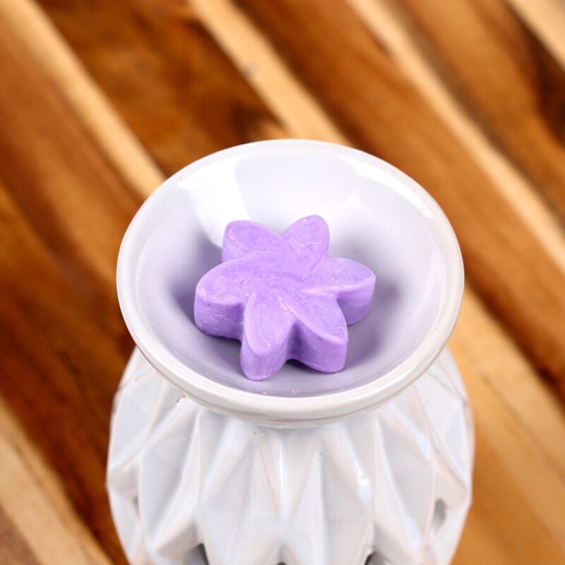 Afbeelding laden in galerijviewer, Lavendel velden set van 6 waxmelts
