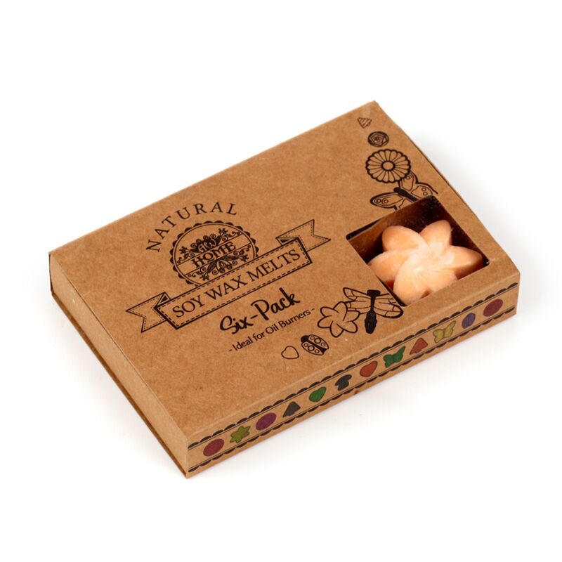 Afbeelding laden in galerijviewer, Mango fruit set van 6 waxmelts
