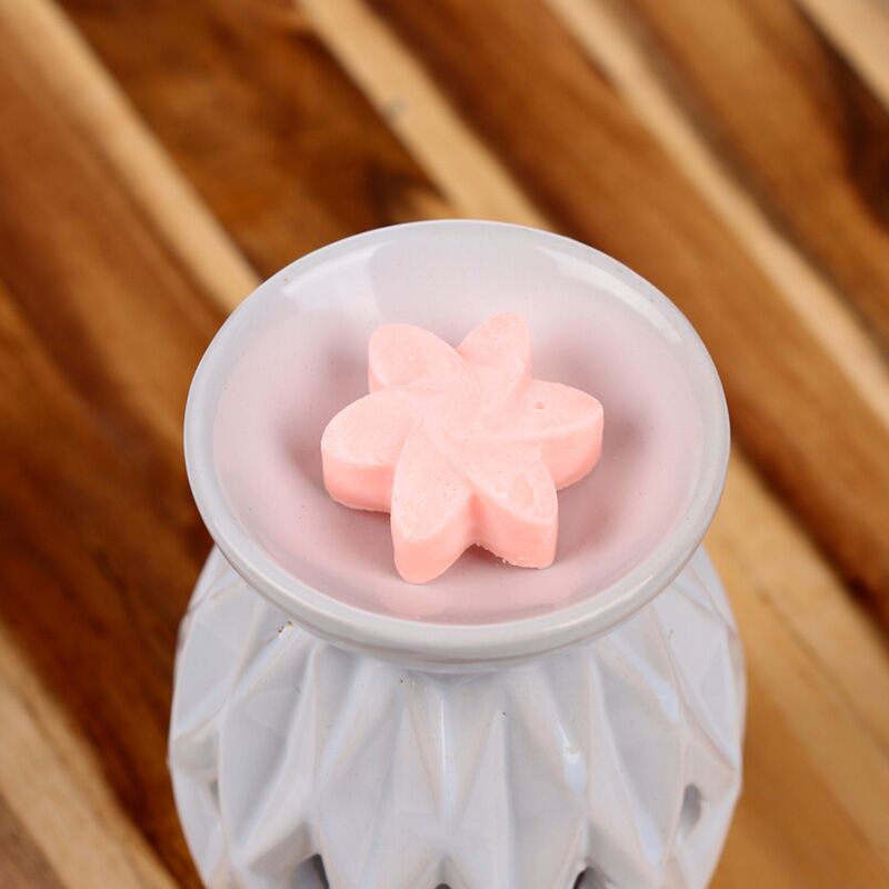 Afbeelding laden in galerijviewer, Japanse magnolia set van 6 waxmelts

