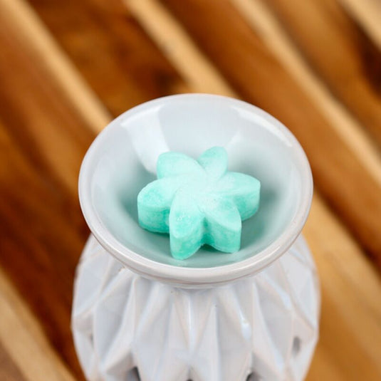 Geheime tuin set van 6 waxmelts