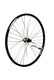 Rodi achterwiel 28 inch 622 zwart 8 9 10v cassette velgrem