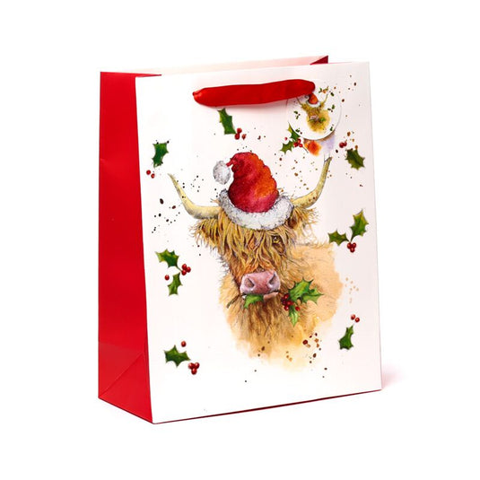 Jan pashley kerstmis highland coo cadeautasje l