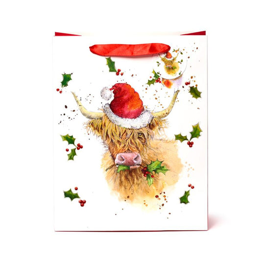 Jan pashley kerstmis highland coo cadeautasje l