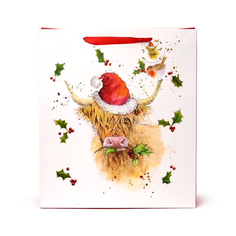 Afbeelding laden in galerijviewer, Jan pashley kerstmis highland coo cadeautasje xl
