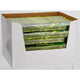Citronella wierookstokjes 20 stuks