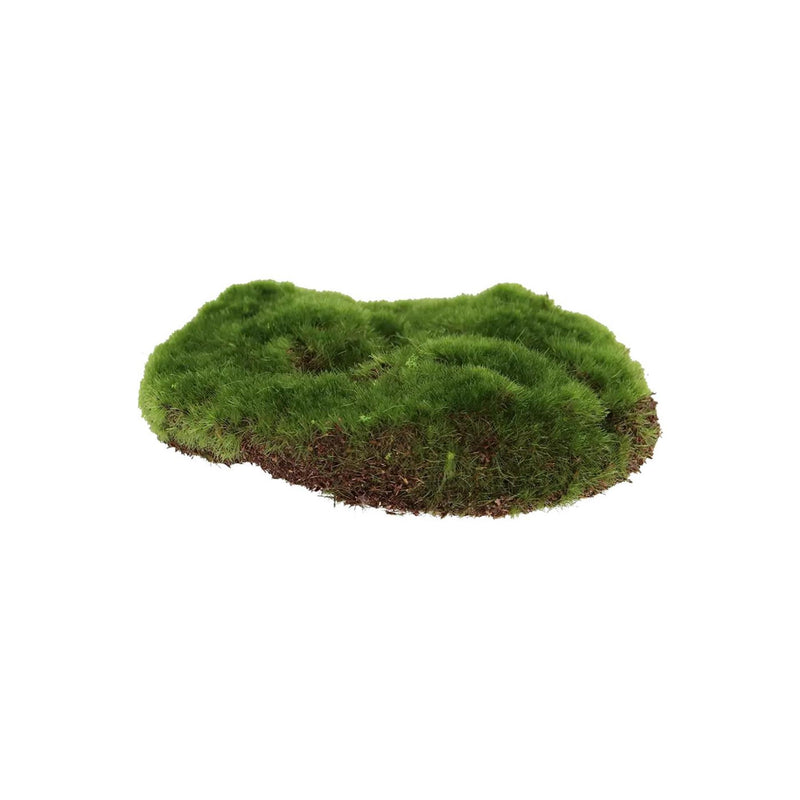 Afbeelding laden in galerijviewer, Esschert design kunstmos s 15x13cm
