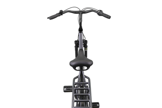 Altec delta 28 inch 50 cm dames 3v rollerbrake matgrijs