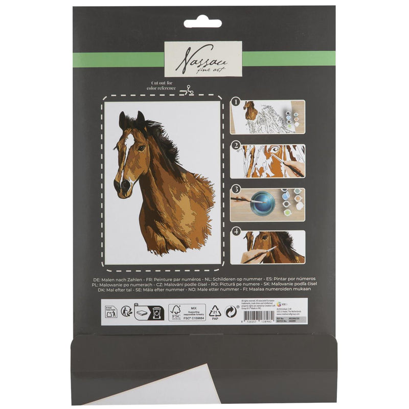 Afbeelding laden in galerijviewer, Schilderen op nummer paard
