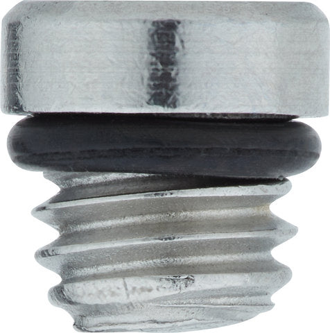 Afbeelding laden in galerijviewer, Formula bleeding grub screw for cura cura e
