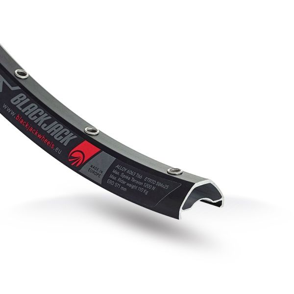 Afbeelding laden in galerijviewer, Rodi wielset 29 ready 25 disc - 15x100 + 12x142 mm steekas - 10 11 speed - 28gat
