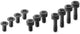 Bosch screw kit for nyon bui350