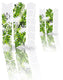 Unleazhed unscratch - frame protection film budz color