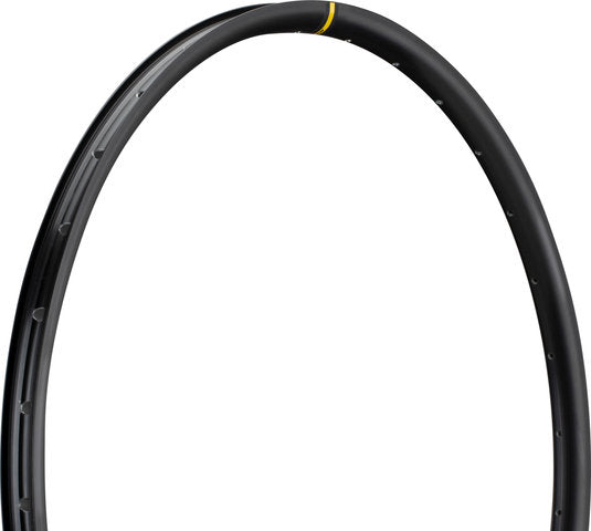 Mavic xc 425 disc 29 rim