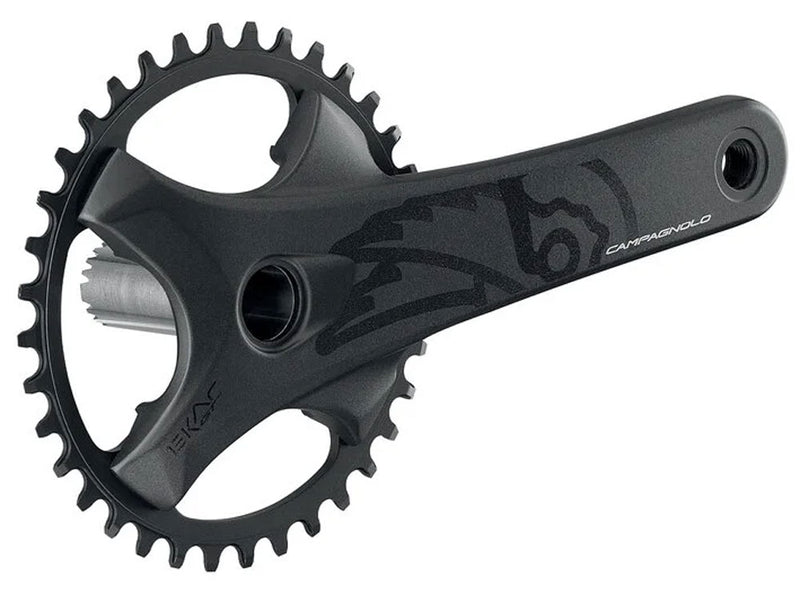 Afbeelding laden in galerijviewer, Campagnolo ekar gt 1x13-speed crankset 38t | 172,5mm
