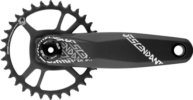 Afbeelding laden in galerijviewer, Truvativ descendant 6k eagle boost direct mount dub 12-speed crankset

