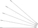 Sapim cx-ray straight pull spokes + nipples - 5-pack