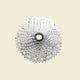 Sunrace cassette csrz800