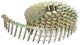 Dewalt accessoires [dnr] rolspijkers | 3.05-19 | g12 hot dip | gegalvaniseerd voor roofing - dnr3119hdz