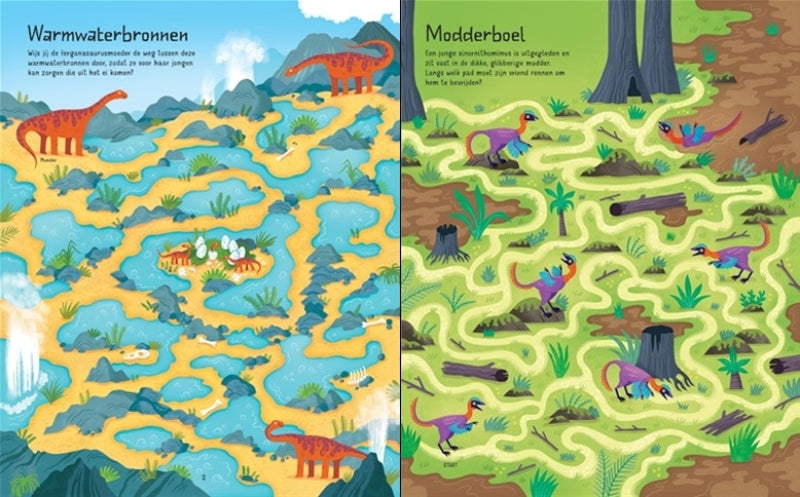 Afbeelding laden in galerijviewer, Usborne doolhoven dino's
