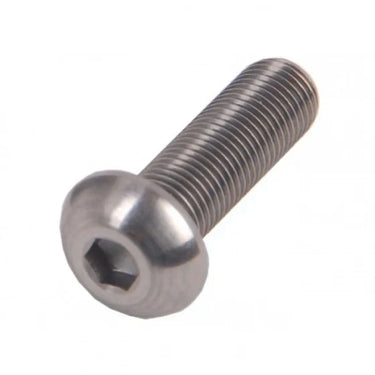 Roveba bolkop inbusbout m6 x 20 rvs (25) - 462620