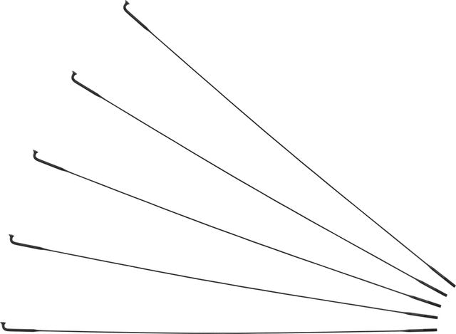 Afbeelding laden in galerijviewer, Sapim cx-ray j-bend spokes + nipples - 5-pack
