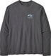 Patagonia lightweight applied imagination wildrise crew pullover