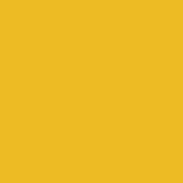 E6000 eclectic • unicornspit 118,2ml lemon kiss