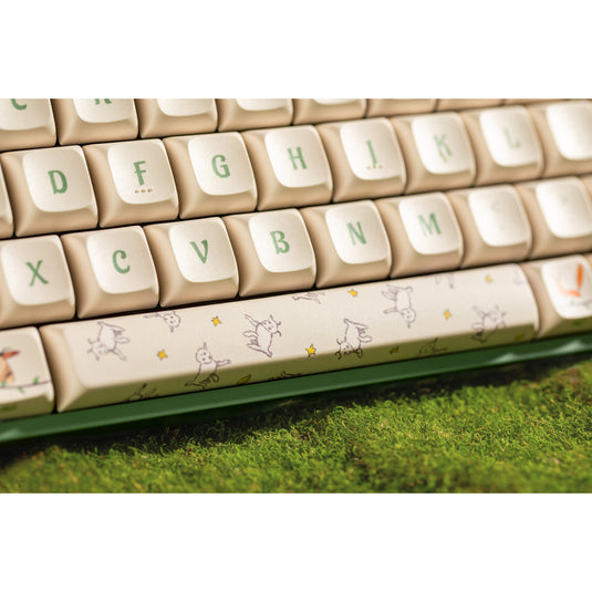 Iqunix f97 floral date rgb mechanisch gaming toetsenbord (groen, us lay-out (qwerty), gateron red, 96%, rgb leds, hot-swappable, pbt, 2.4ghz | bluetooth 5.1 | usb-c)