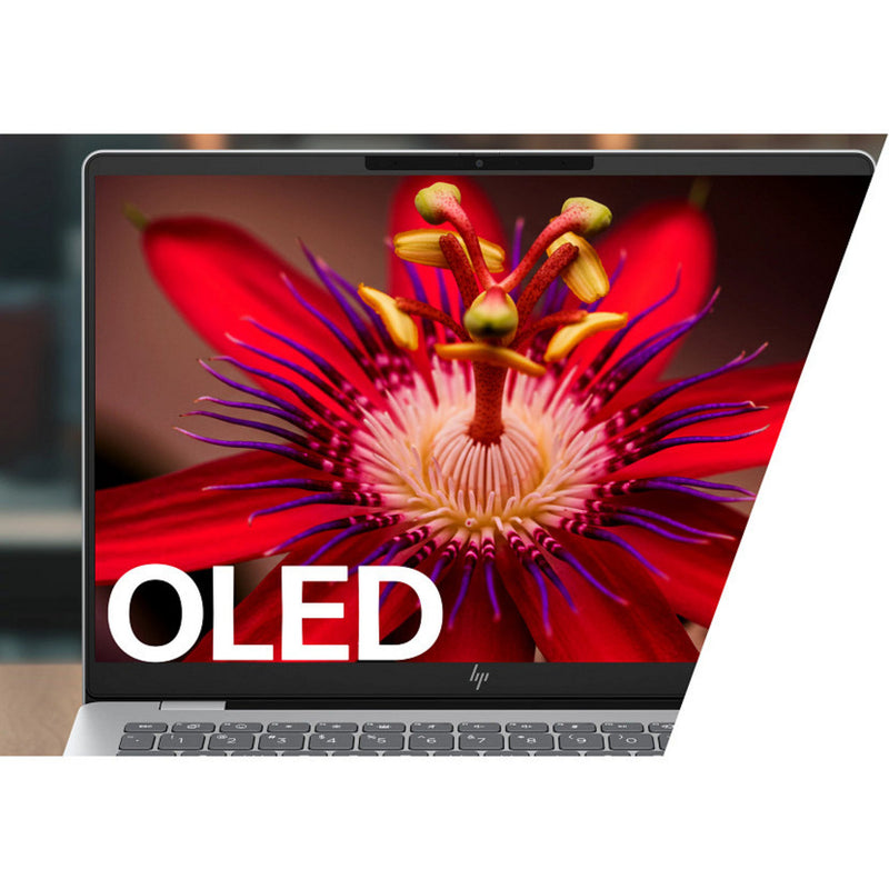 Afbeelding laden in galerijviewer, Hp omnibook 7 14-fs0005nd (cf1y8ea) 14 laptop (zilver | core 5 210h | intel graphics | 16 gb | 512 gb ssd)
