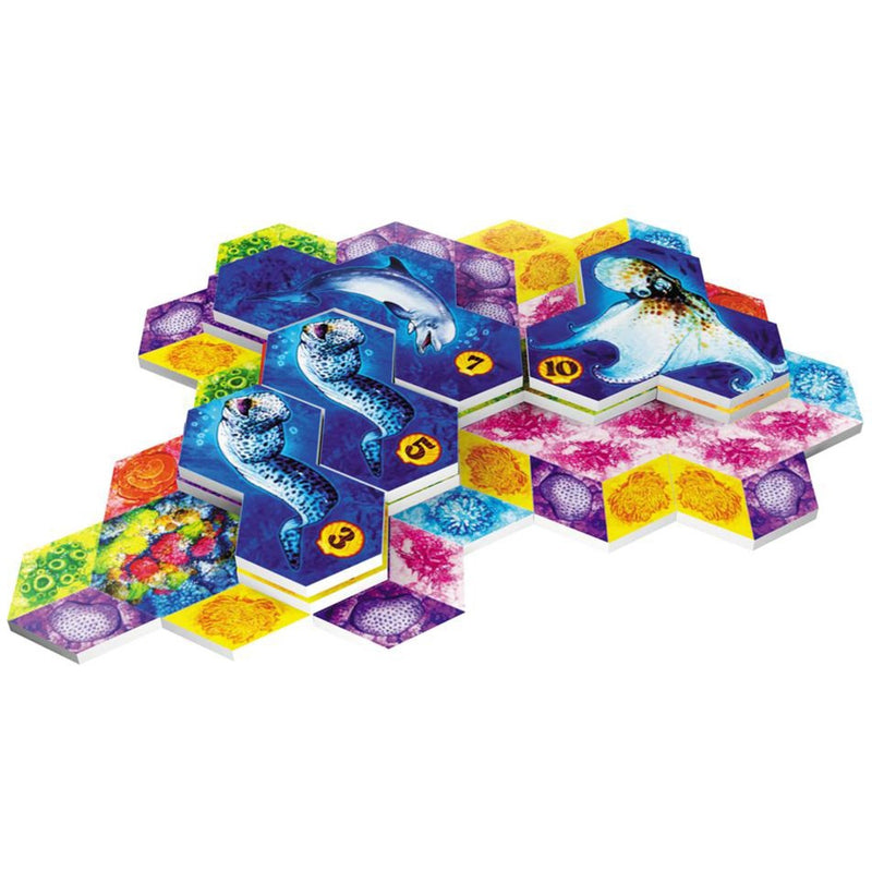 Afbeelding laden in galerijviewer, Ty european player network aqua: biodiversi in the oceans bordspel (engels, 1 - 4 spelers, 30 - 45 minuten, vanaf 8 jaar)
