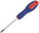 Radon pro torx screwdriver