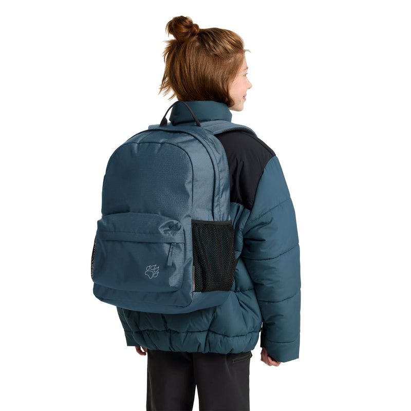 Afbeelding laden in galerijviewer, Jack wolfskin rebel pack 25 rugzak (blauw)
