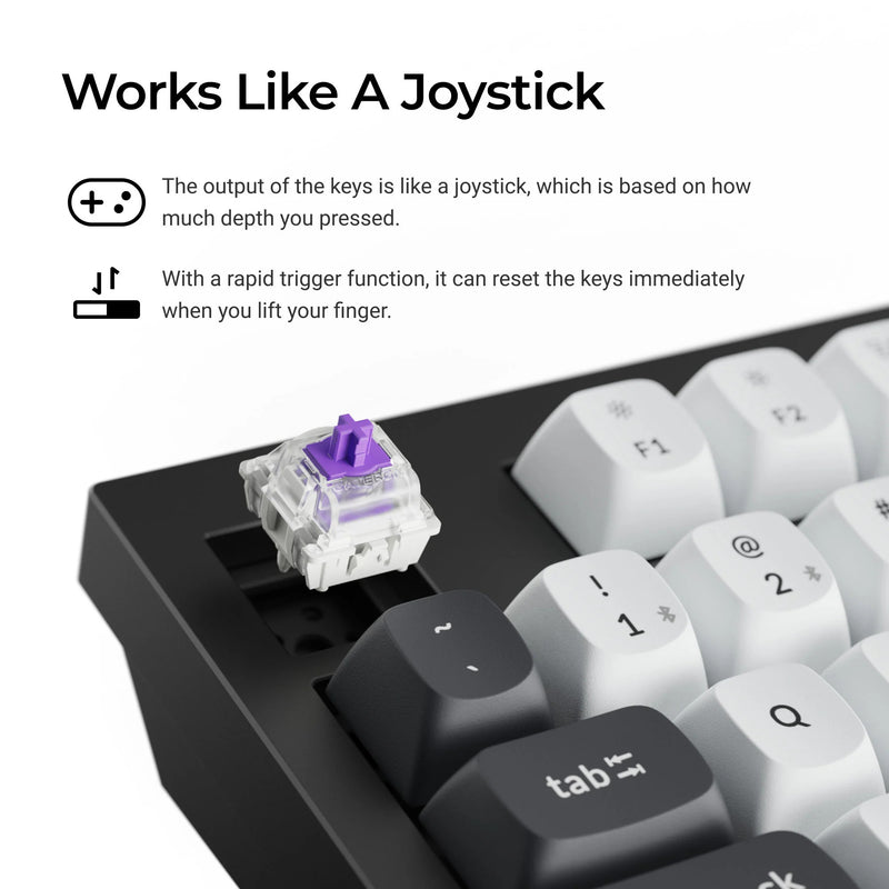 Afbeelding laden in galerijviewer, Keychron q5 he qmk wireless custom keyboard (zwart, us lay-out (qwerty), gateron double-rail magnetic nebula, 96%, rgb leds, osa double-shot pbt, hot swap, knob, 2.4ghz | bluetooth 5.1 | usb-c)
