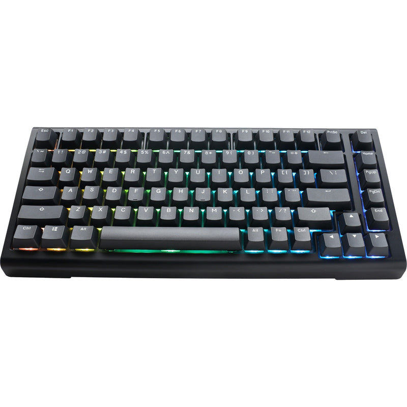 Afbeelding laden in galerijviewer, Ducky projectd tinker 75 met qmk via rgb mechanisch toetsenbord (zwart, us lay-out (qwerty), cherry mx blue, 75%, rgb leds, double-shot pbt, hot-swappable, gasket mount)
