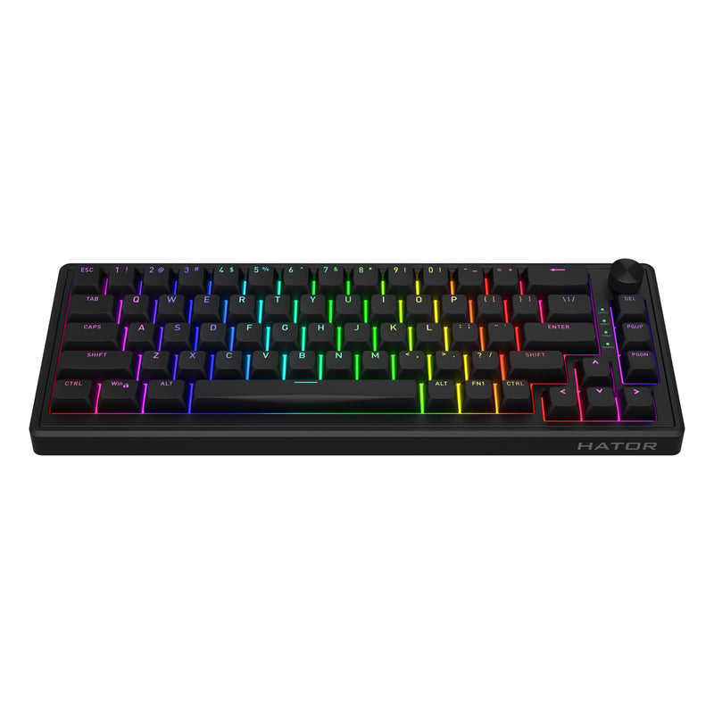 Afbeelding laden in galerijviewer, Hator skyfall wired rgb mechanisch gaming toetsenbord (zwart, us lay-out (qwerty), hator aurum sterling, 65%, rgb, double shot abs, hot-swap)
