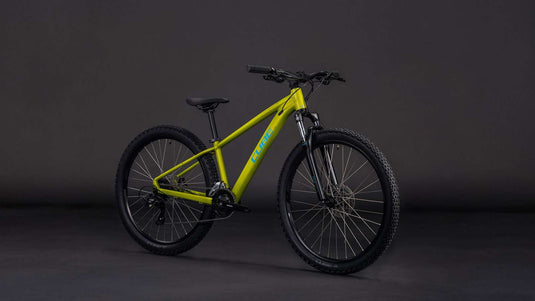 Cube acid 260 disc lizard´n´blue