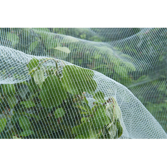 Nature insectengaas, fijnmazig insectenhor (wit transparant, 5,2 x 5 m)